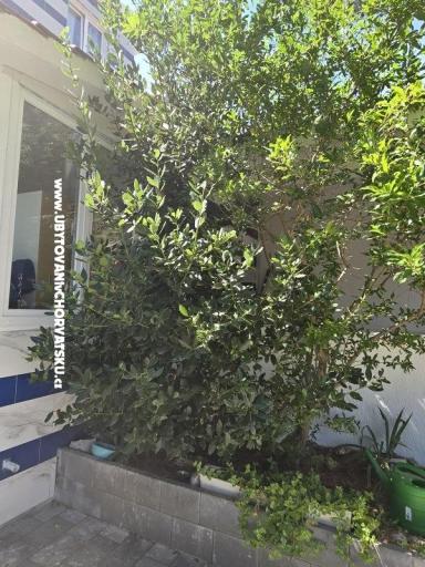 Sunset Paradise Apartmaji Vir – foto 62