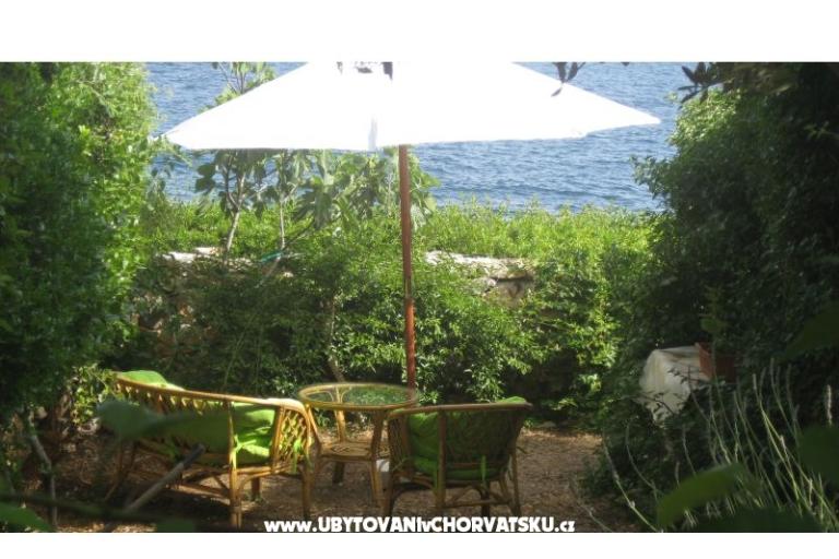 Apartmaji Goga – foto 15