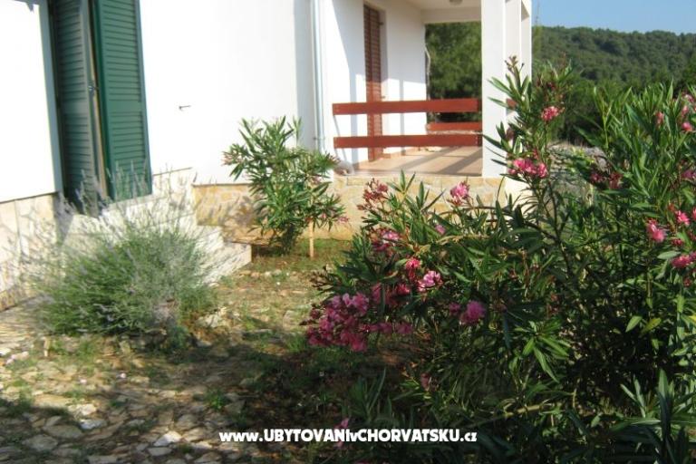 Apartmaji Vlado – foto 9