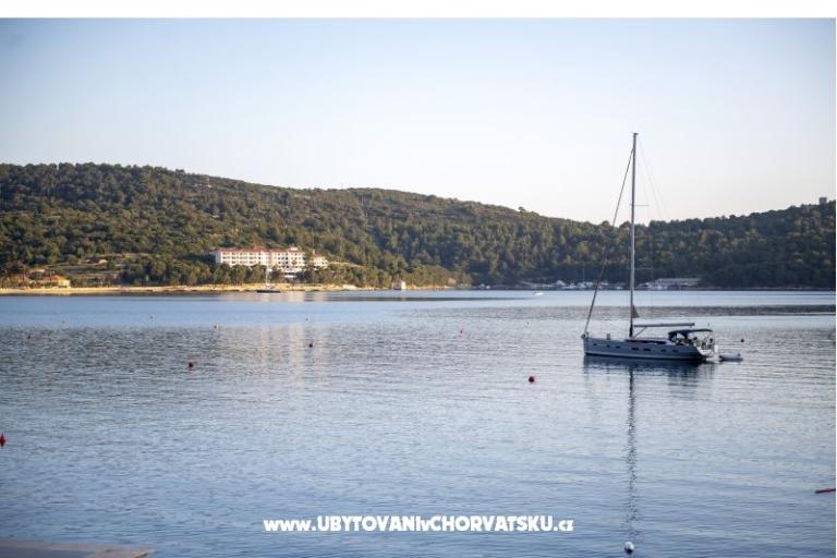 Apartma AndriNa  Vis – foto 16