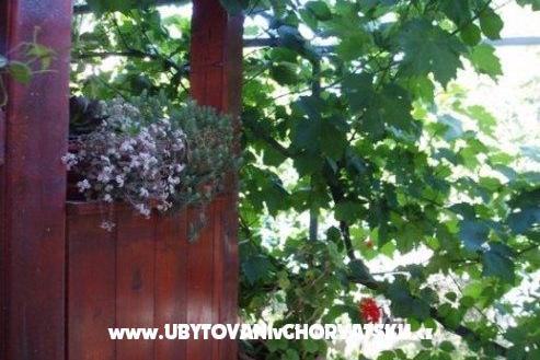 Apartmaji Tina – foto 9