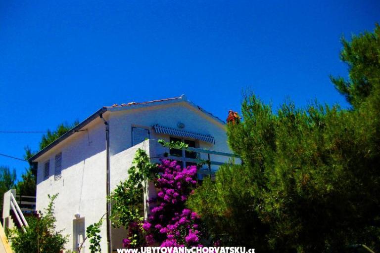 Vis Apartma – foto 6