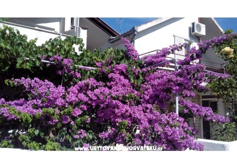  Apartma Čičak – foto 9