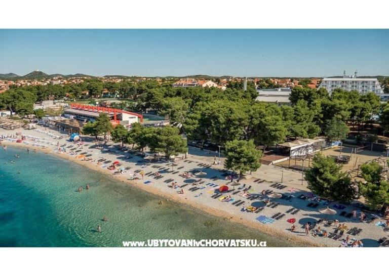 Apartma Gita -Ston Hiša – foto 11