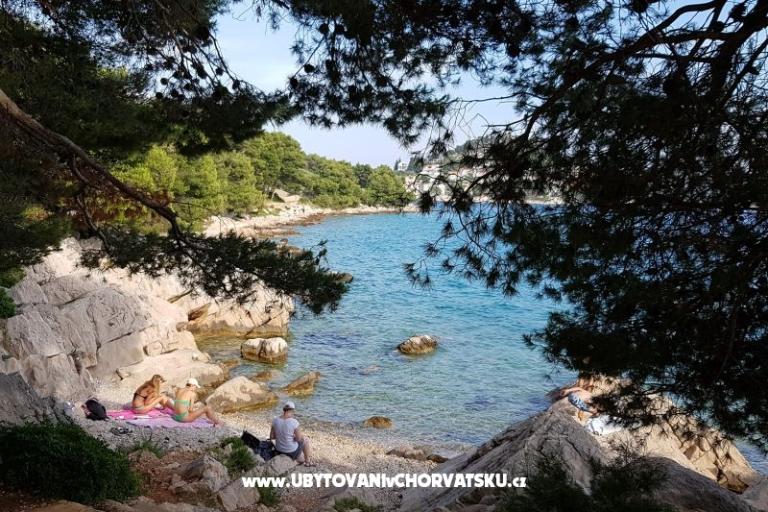 Apartma Maša – foto 12