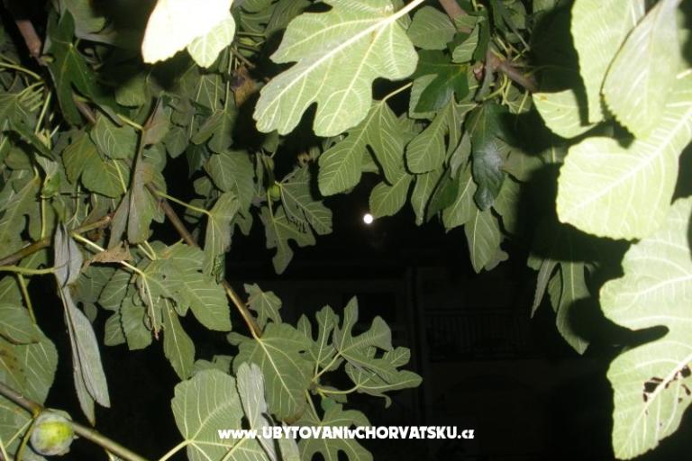 Apartmaji  Smokva   – foto 4