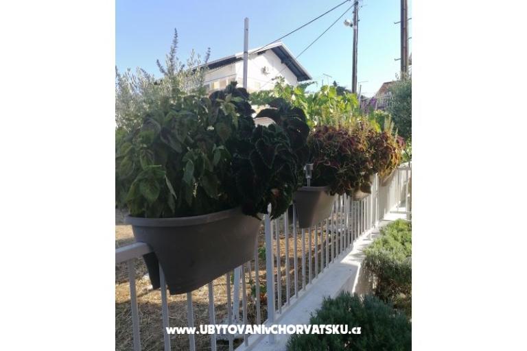Apartmaji NIKA – foto 8