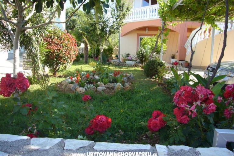 Apartmaji Ćosić  – foto 3