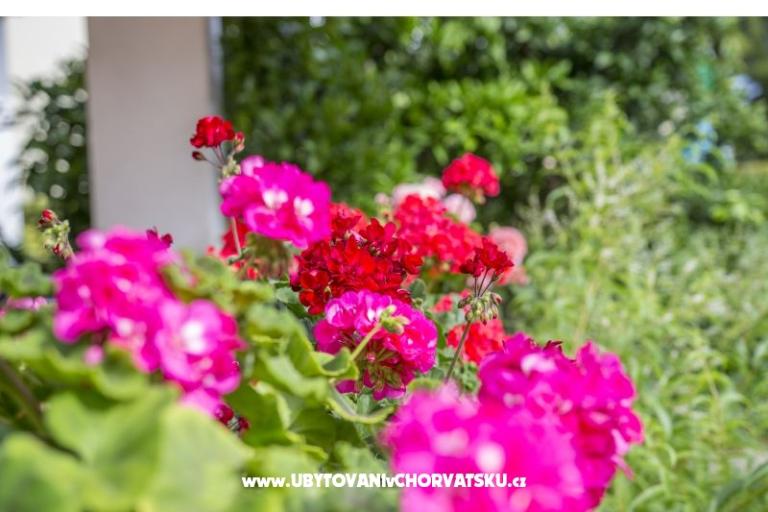 Apartmaji Ines – foto 3