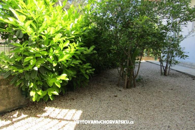 Apartmaji Kokor – foto 11