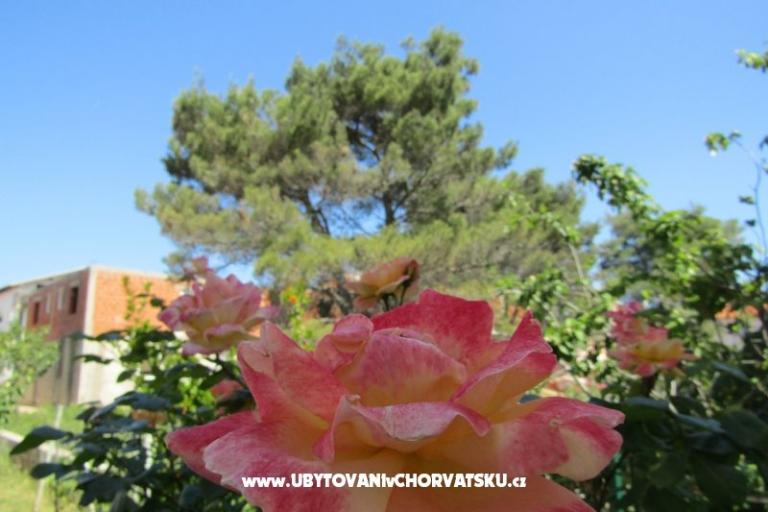 Apartmaji Kokor – foto 14