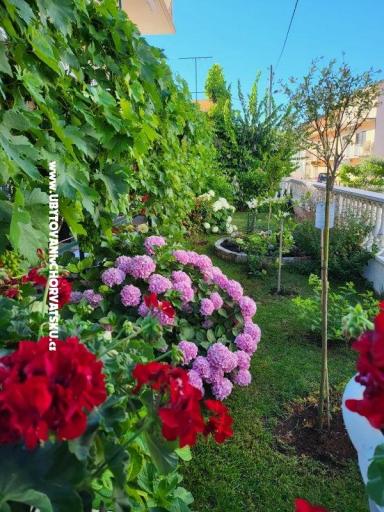 Apartmaji Rino – foto 35