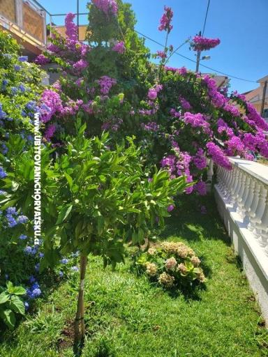 Apartmaji Rino – foto 36
