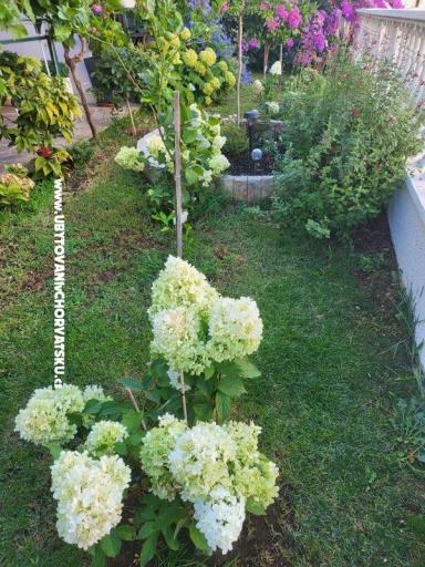 Apartmaji Rino – foto 37
