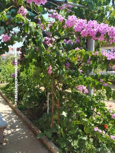 Apartmaji Vinka – foto 20