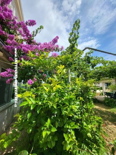 Apartmaji Vinka – foto 23