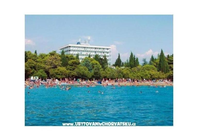 Apartmaji Vranjković – foto 7