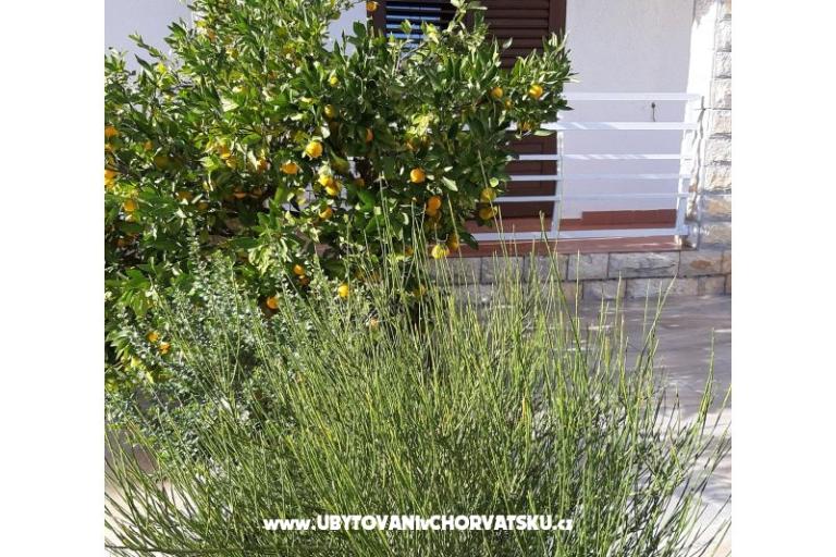 Apartmaji Vitali – foto 10