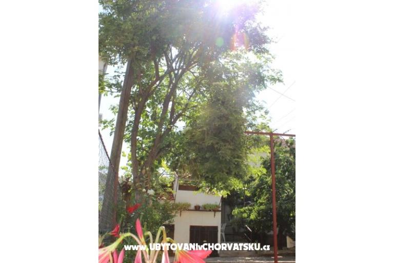 Apartmaji Vitali – foto 5