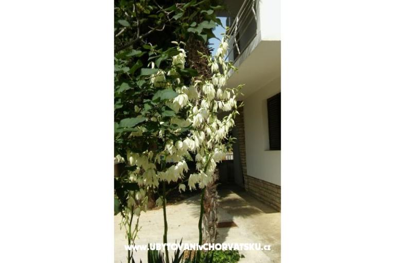Apartmaji Vitali – foto 6
