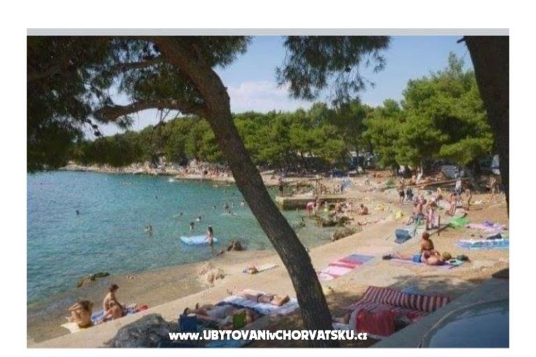 Apartma Ivan (15m from  beach) – foto 26