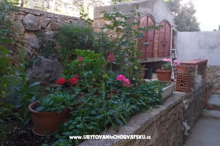 Apartma Ivan (15m from  beach) – foto 8