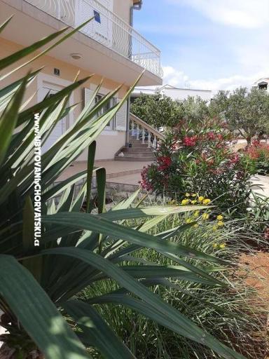 Apartmaji Duzelovi dvori  – foto 12