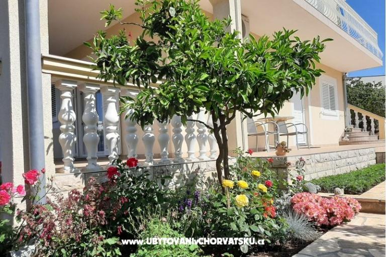 Apartmaji Duzelovi dvori  – foto 15