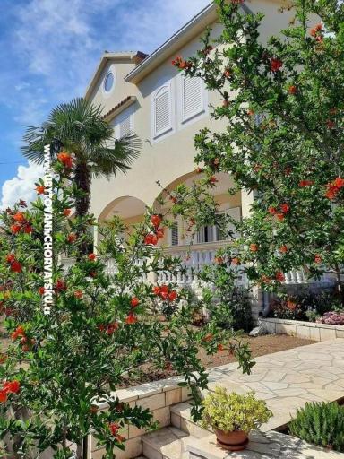Apartmaji Duzelovi dvori  – foto 16