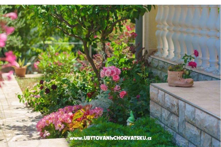 Apartmaji Duzelovi dvori  – foto 21