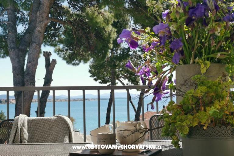Apartmaji Villa Punta – foto 32