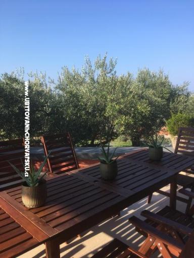 Galeb – foto 14