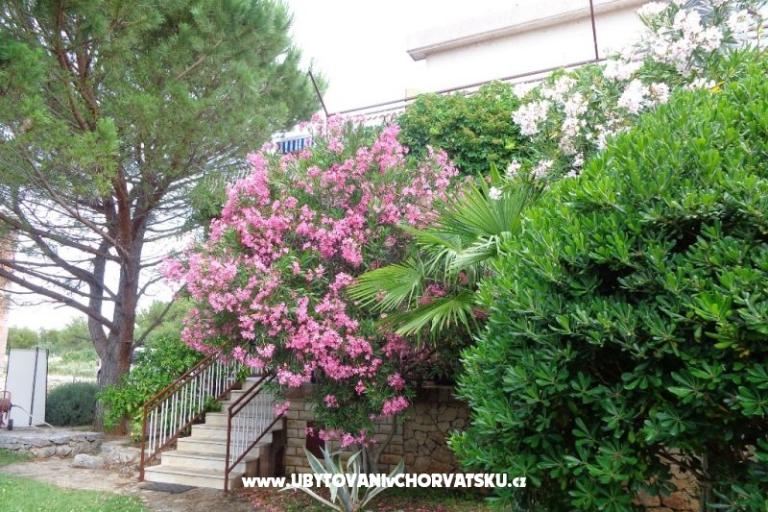 Apartmaji  IVAN   – foto 17