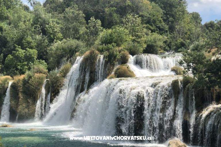 Kiwi Hiša – foto 10