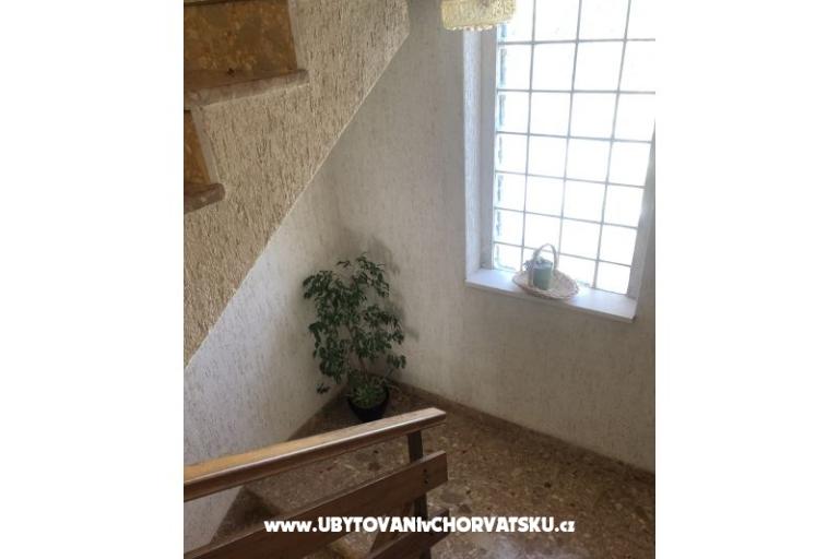 Kiwi Hiša – foto 13