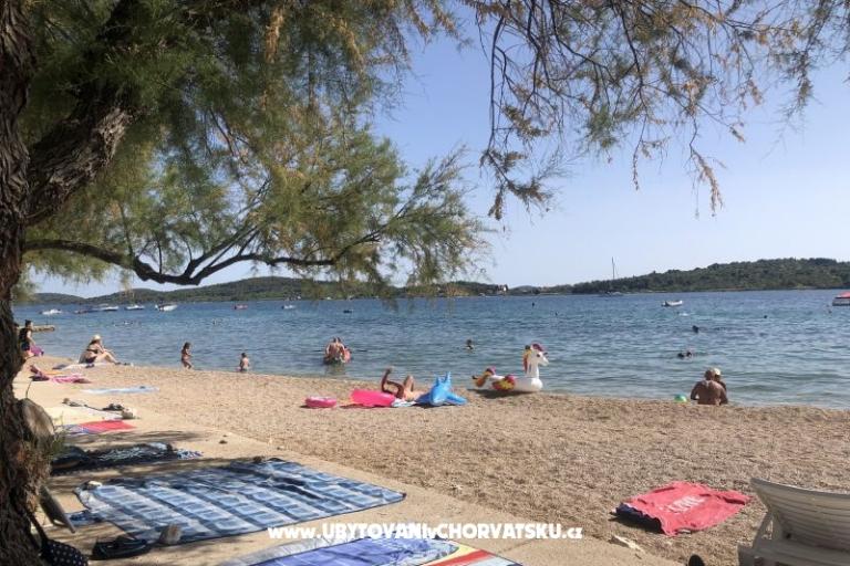 Kiwi Hiša – foto 3