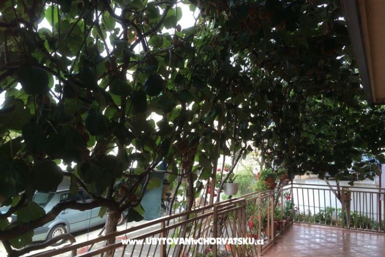 Kiwi Hiša – foto 5