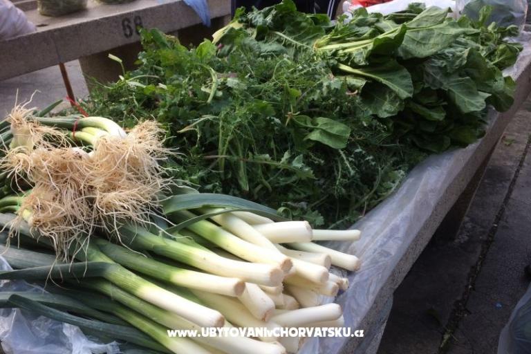 Kiwi Hiša – foto 7