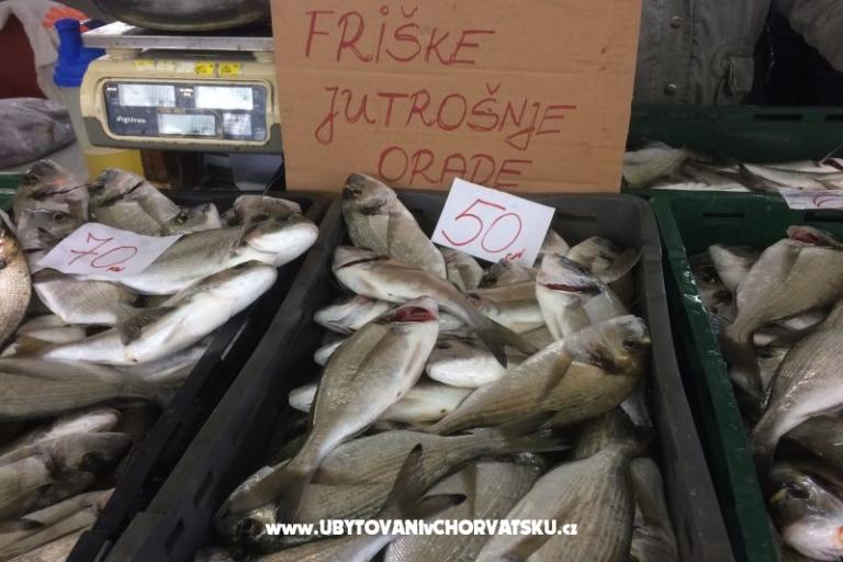 Kiwi Hiša – foto 8