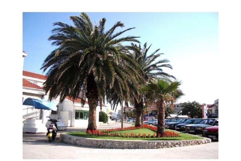 Apartmaji  Vesna  – foto 14