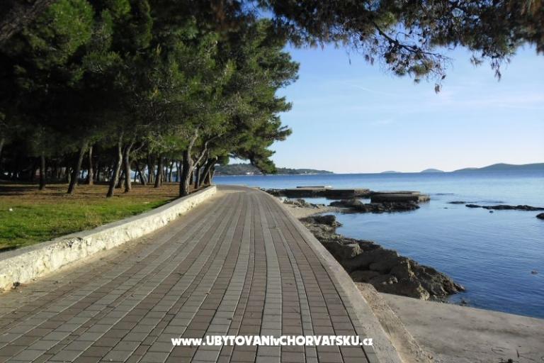 Apartmaji  Vesna  – foto 15