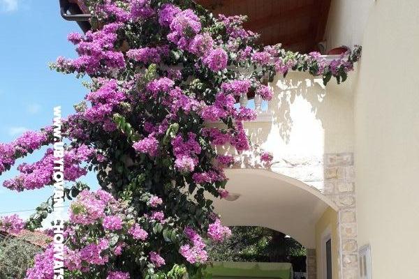 Apartmaji  Vesna  – foto 20