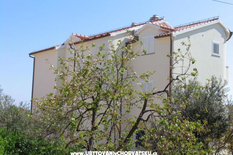 Apartmaji Blata – foto 2