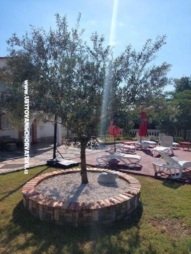 Apartmaji Chipo – foto 3