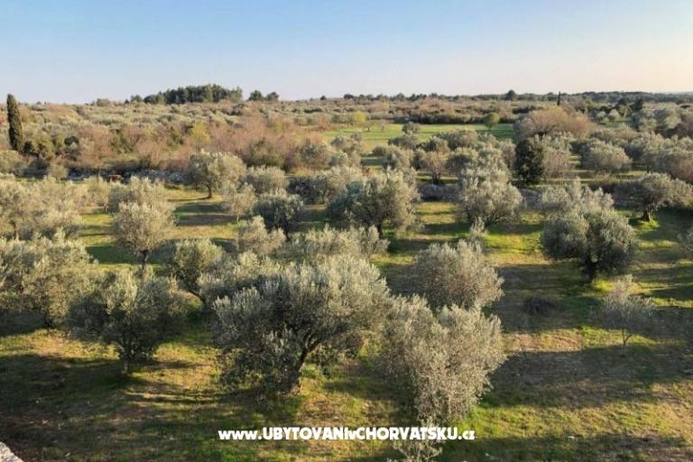 Casadigioia Apartmaji – foto 6