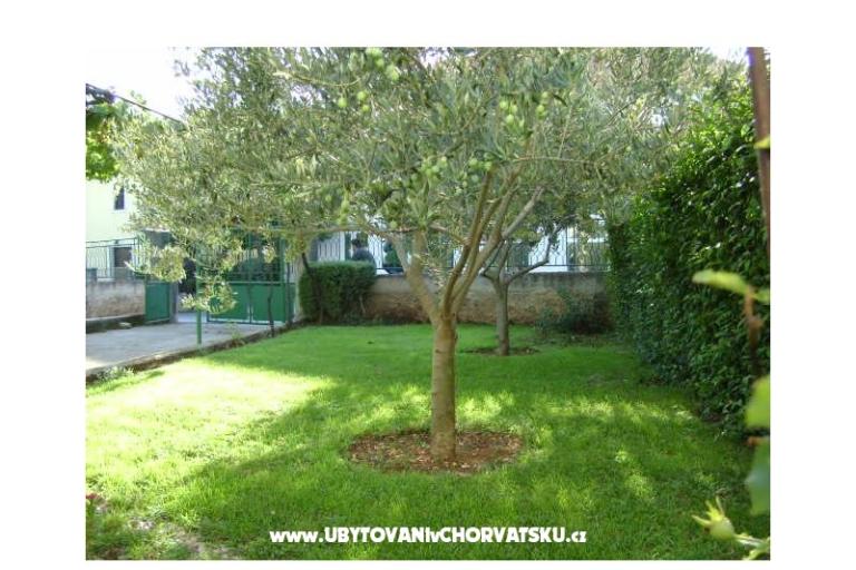 Apartma  Dalmacija – foto 17