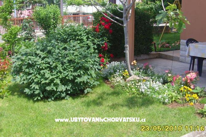 Apartma Amico – foto 6