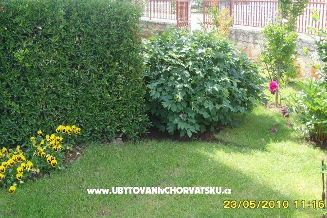 Apartma Amico – foto 8