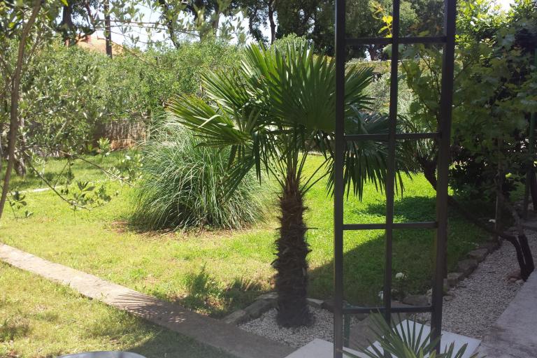 Apartma Korina – foto 2