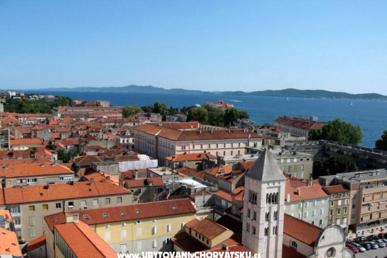 Apartma Ruža – foto 11